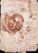 LEONARDO da Vinci The embryo in the Uterus Spain oil painting reproduction